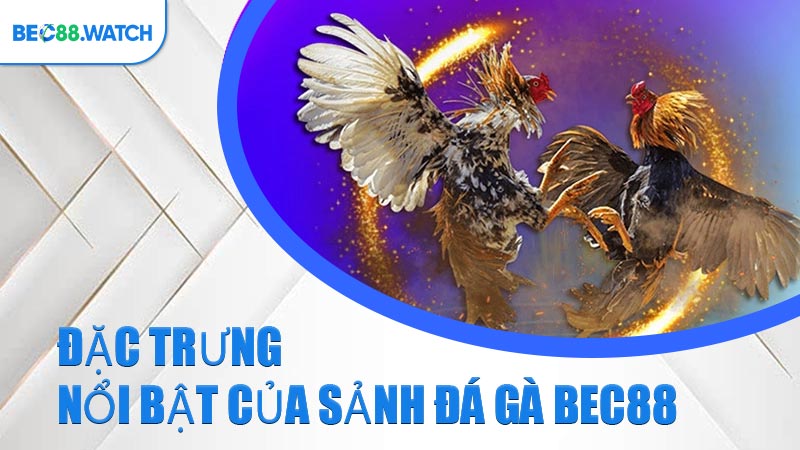 Đặc trưng nổi bật của sảnh Đá Gà BEC88