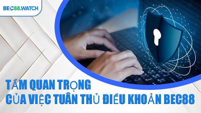 Tầm quan trọng của việc tuân thủ Điều Khoản BEC88
